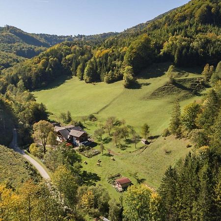 Urlaub Mitten Im Wald - Lueg Scheibbs Екстериор снимка