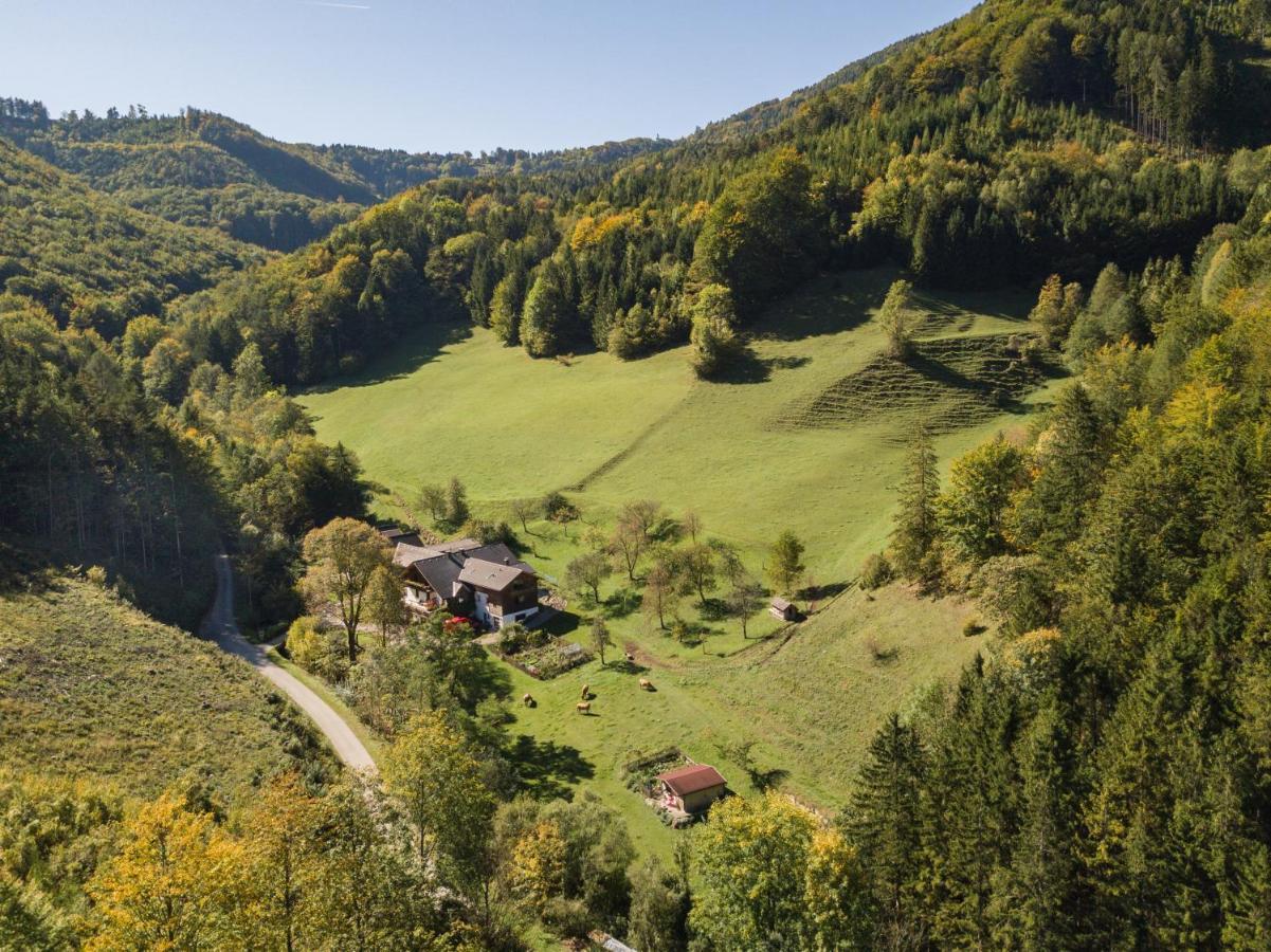 Urlaub Mitten Im Wald - Lueg Scheibbs Екстериор снимка