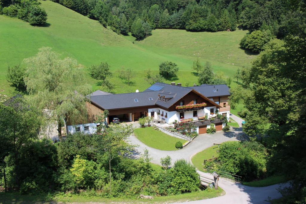 Urlaub Mitten Im Wald - Lueg Scheibbs Екстериор снимка