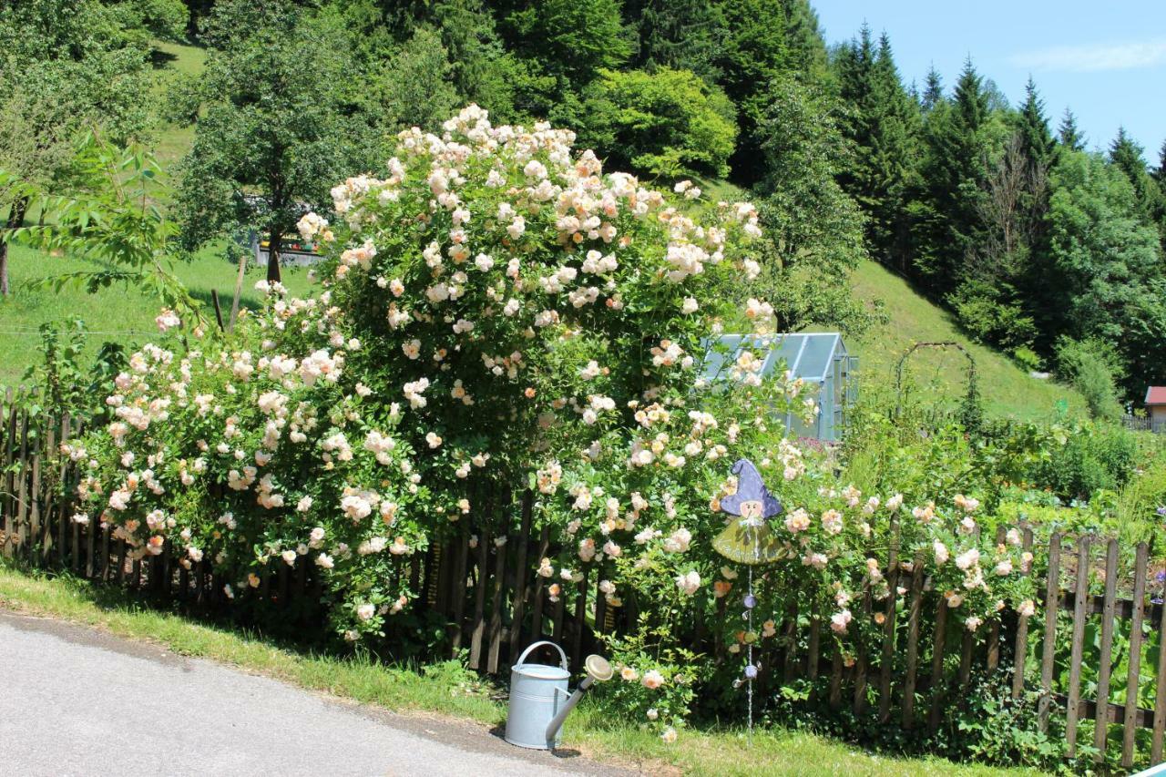 Urlaub Mitten Im Wald - Lueg Scheibbs Екстериор снимка