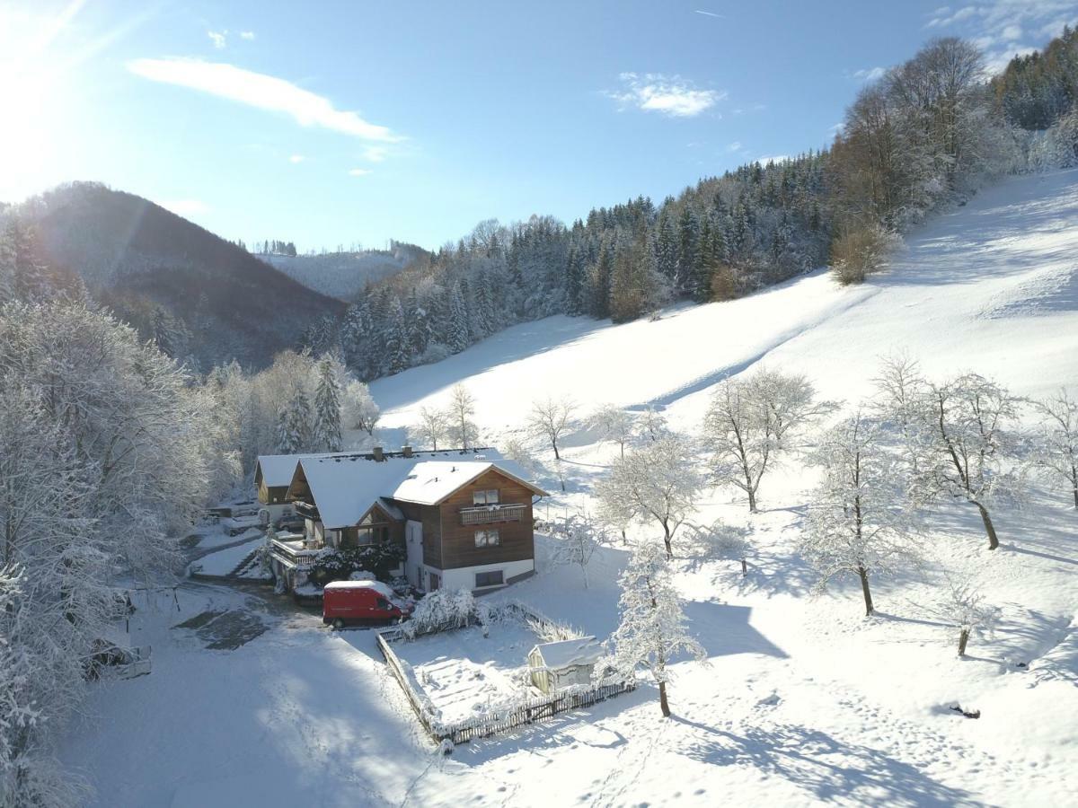 Urlaub Mitten Im Wald - Lueg Scheibbs Екстериор снимка