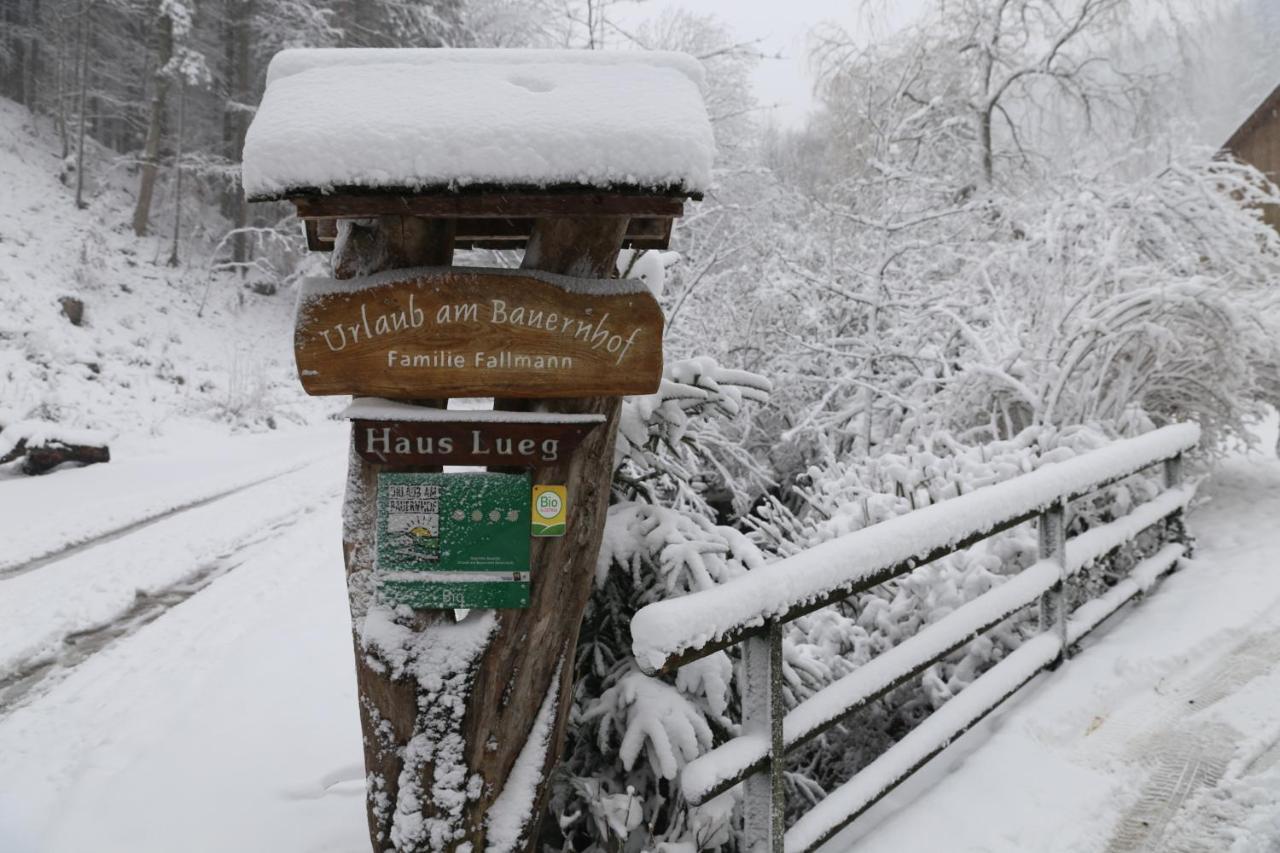 Urlaub Mitten Im Wald - Lueg Scheibbs Екстериор снимка